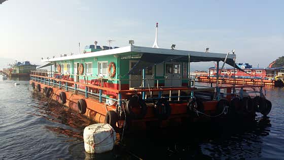 원전가고파선상콘도낚시