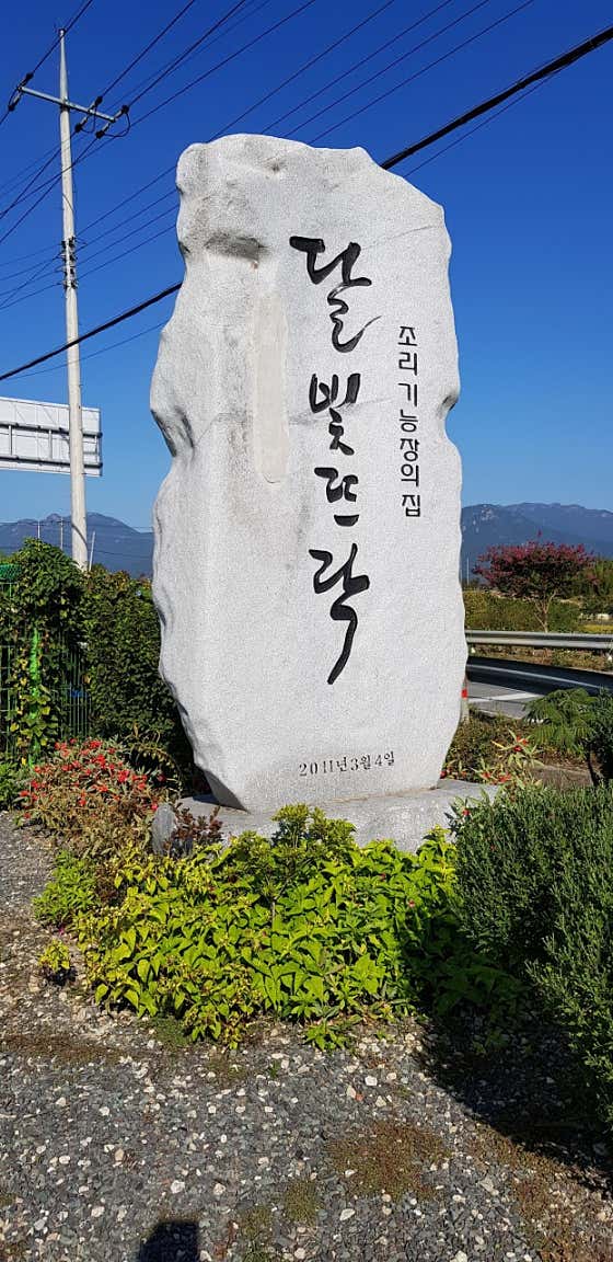달빛뜨락 · 네이버 지도·플레이스 8