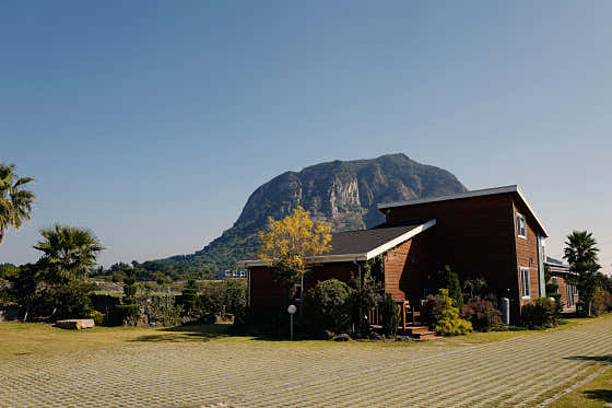 제주 펠리체펜션