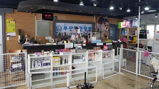 부산애견팡팡 · 네이버 지도·플레이스 2