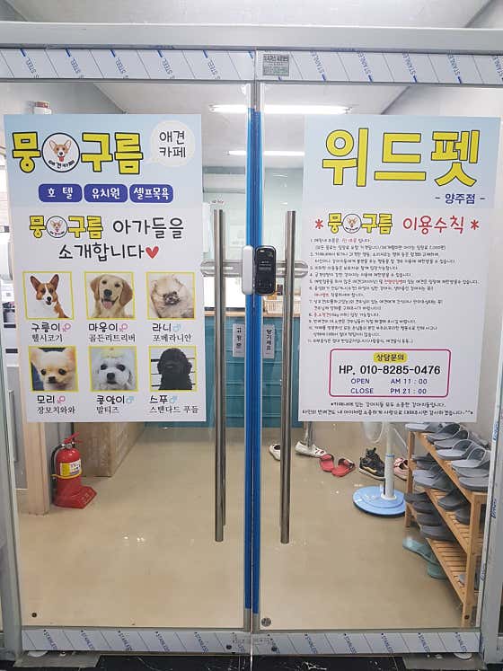 뭉개구름위드펫 · 네이버 지도·플레이스 5