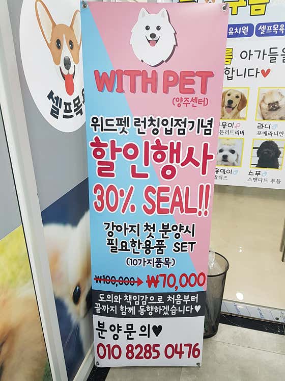 뭉개구름위드펫 · 네이버 지도·플레이스 10