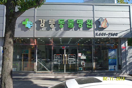 강릉동물병원