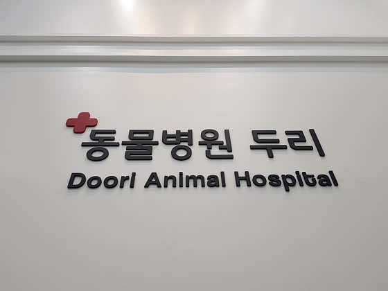 두리동물병원 대표이미지