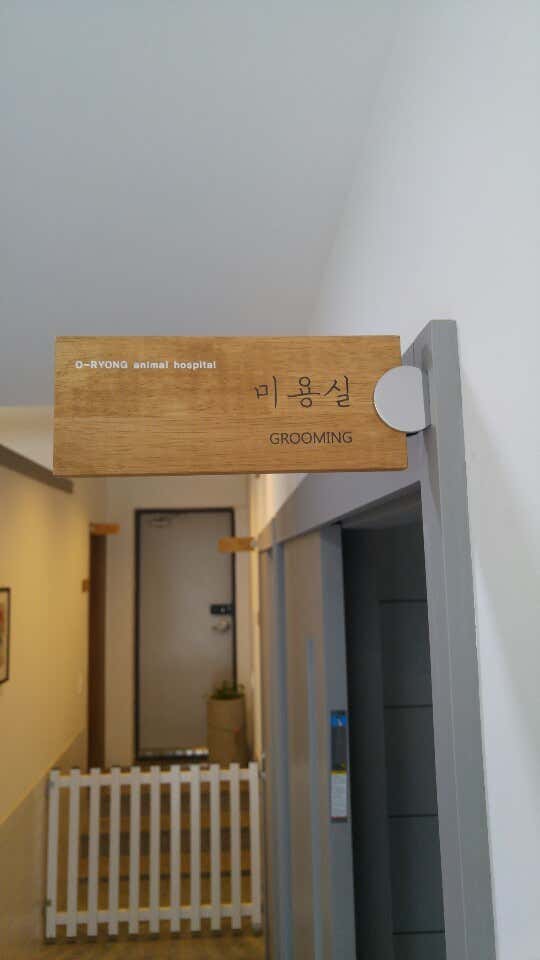 오룡애견미용 · 네이버 지도·플레이스 3