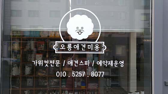 오룡애견미용 · 네이버 지도·플레이스 2