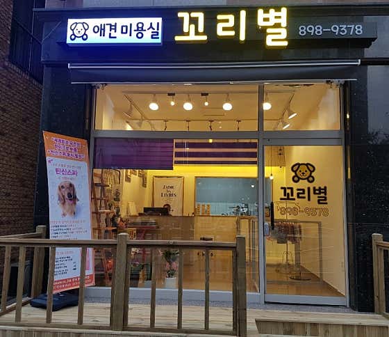 꼬리별 애견미용실 대표이미지