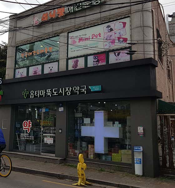 옵티마 뚝도시장약국