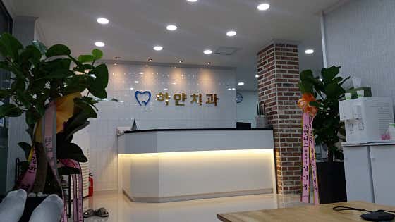 하얀치과의원 사진