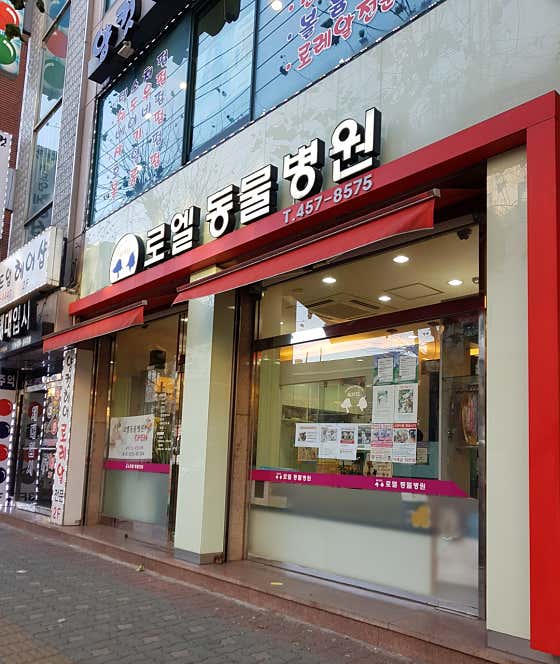 로엘동물병원 대표이미지