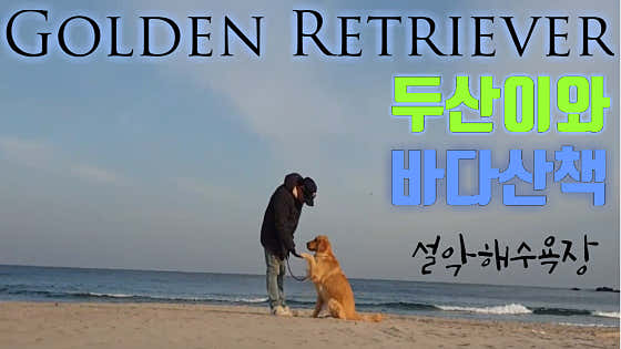 놀다가개 · 네이버 지도·플레이스 8