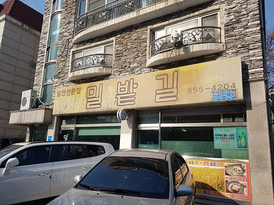 밀밭길