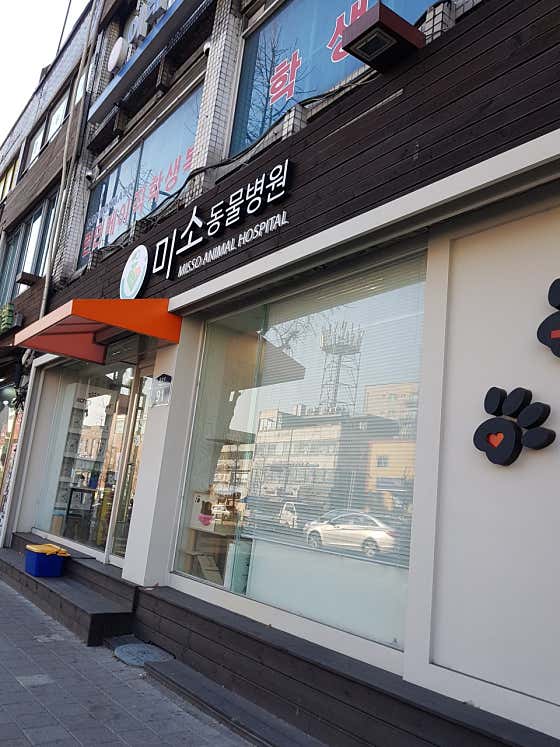미소동물병원 대표이미지
