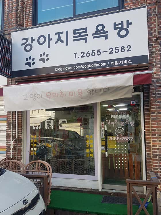 강아지목욕방 · 네이버 지도·플레이스 7