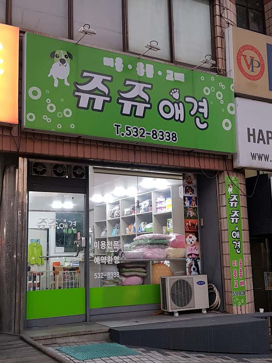 쥬쥬애견