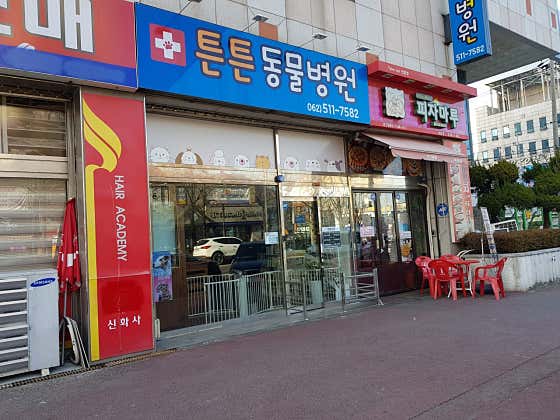 튼튼동물병원(광주)