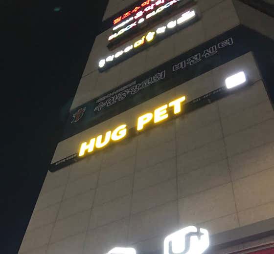 허그펫 · 네이버 지도·플레이스 1