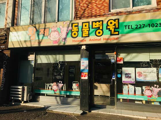 황제 동물병원