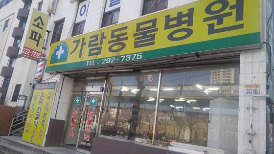 가람동물병원(창원)