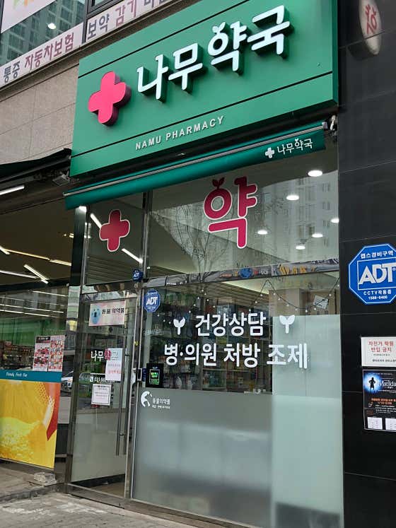 나무약국