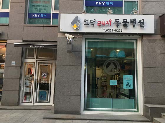 고덕24시 동물병원 · 네이버 지도·플레이스 2