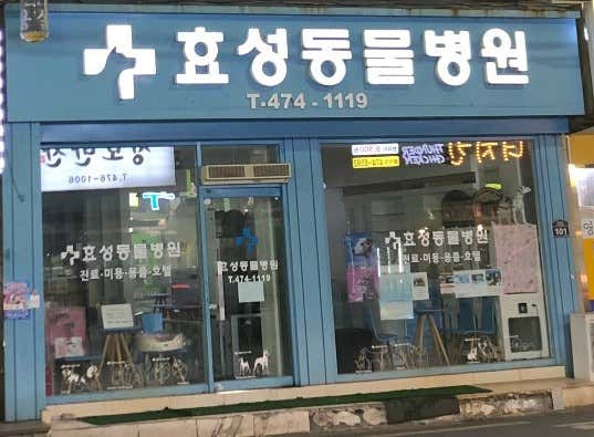 효성동물병원