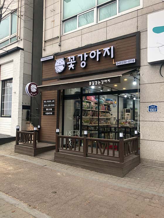 꽃강아지