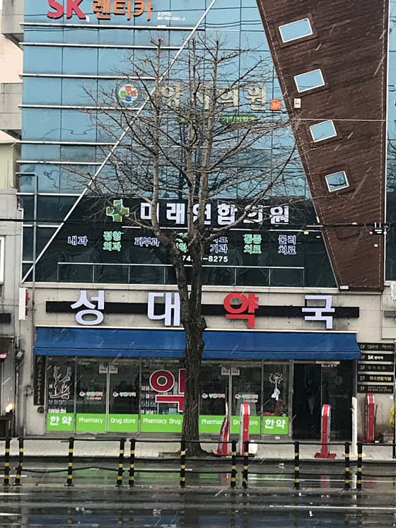 성대약국