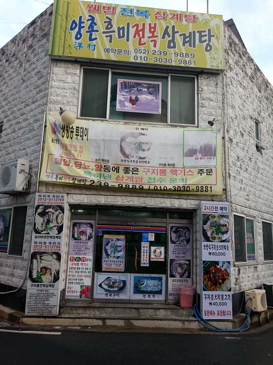 양촌흑미전복삼계탕