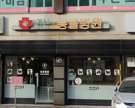 가나동물병원 대표이미지