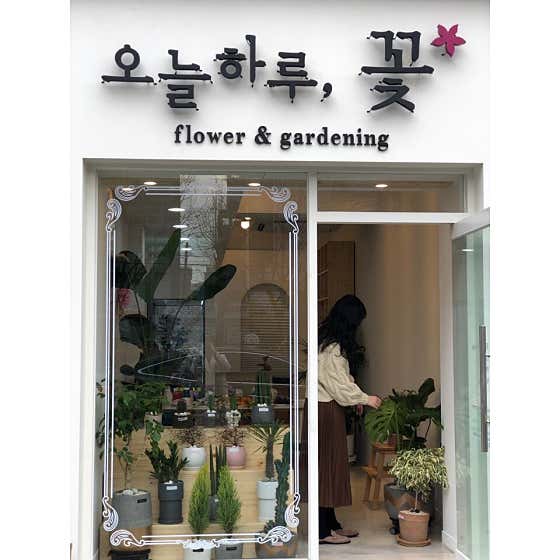 네이버 플레이스 오늘하루꽃 : 네이버