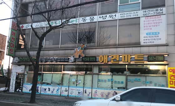 애견마트