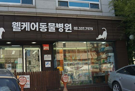 웰케어동물병원 대표이미지