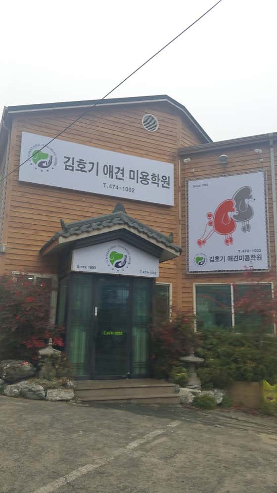 김호기애견전문미용학원