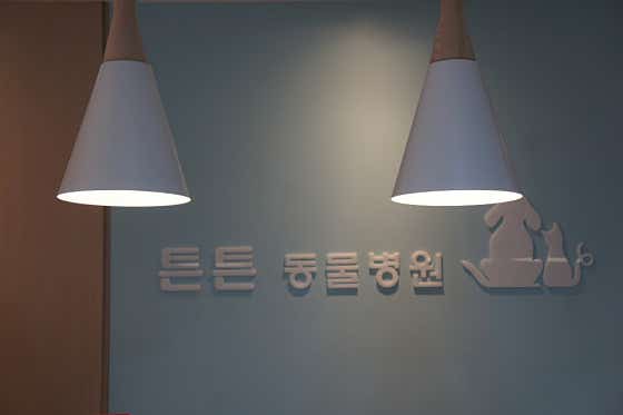 튼튼동물병원 대표이미지