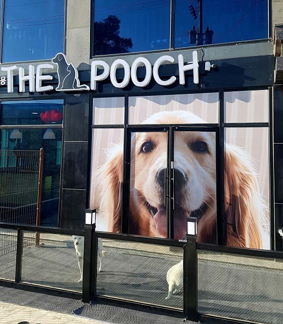 The Pooch