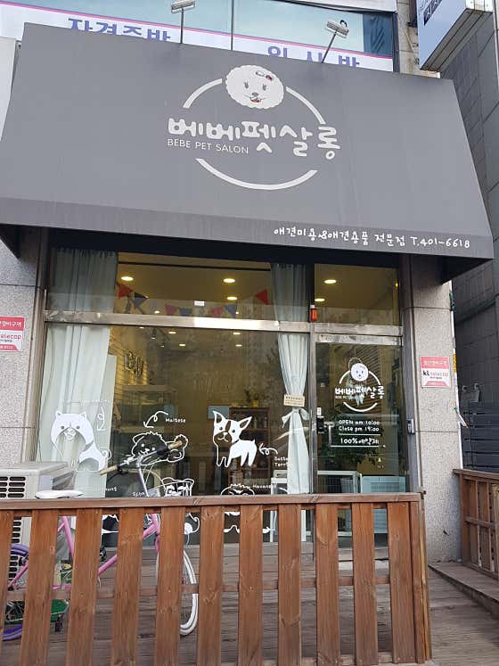 베베펫살롱 · 네이버 지도·플레이스 4