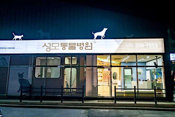 성모동물병원