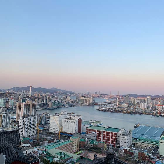 네이버 플레이스 오르다가 : 네이버