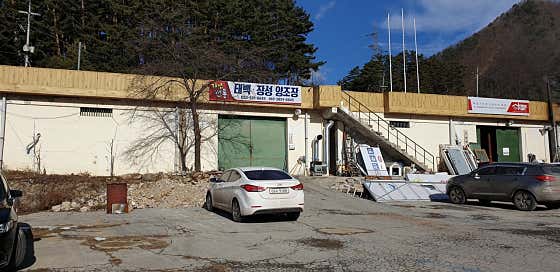 목란