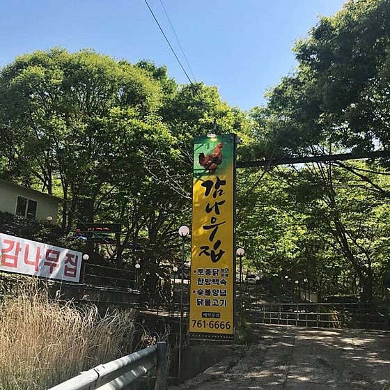 감나무집 · 네이버 지도·플레이스 6