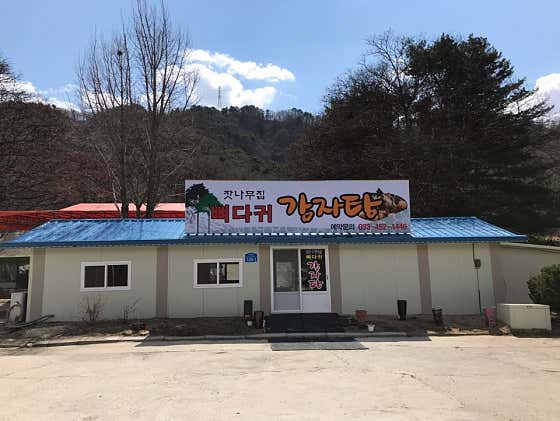 잣나무집뼈다귀감자탕