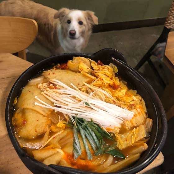 오츠카레 달그네 · 네이버 지도·플레이스 9