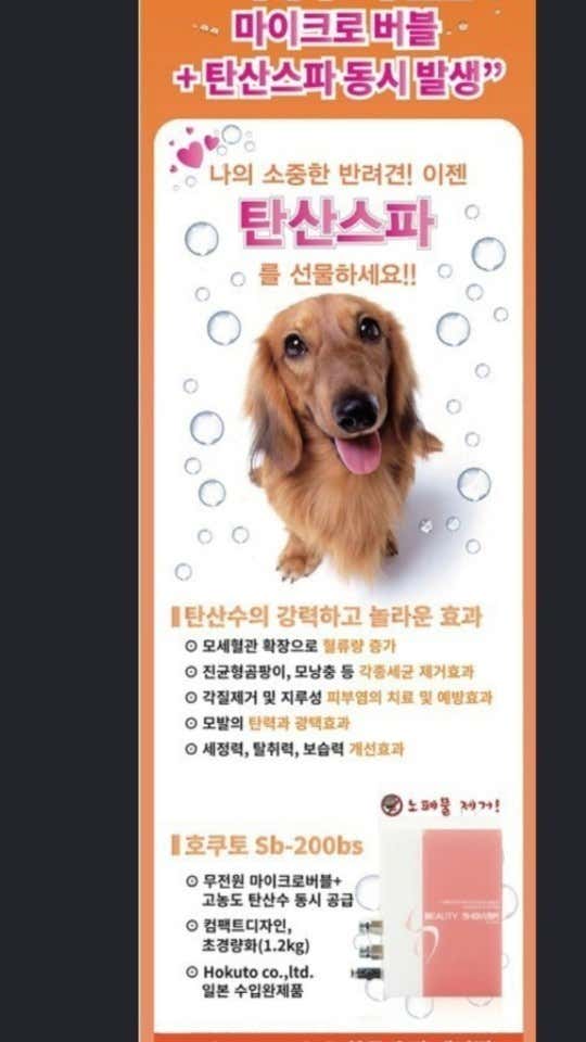 꽁냥꽁냥 · 네이버 지도·플레이스 7