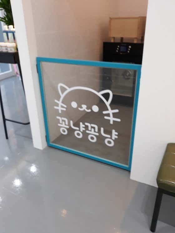 꽁냥꽁냥 · 네이버 지도·플레이스 6