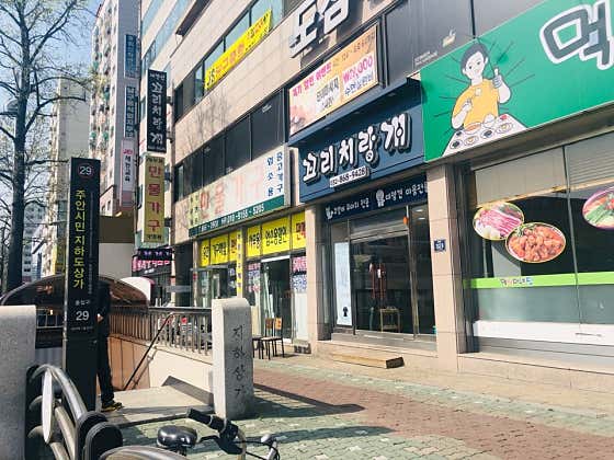 꼬리치랑개 애견호텔 고양이미용 · 네이버 지도·플레이스 6