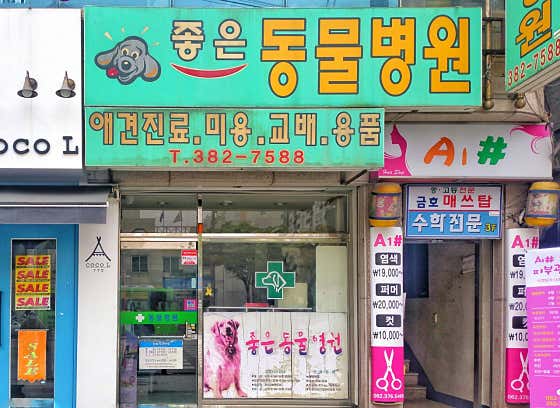 좋은동물병원