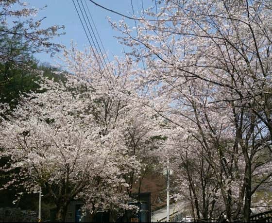 호명산부대찌개 · 네이버 지도·플레이스 7