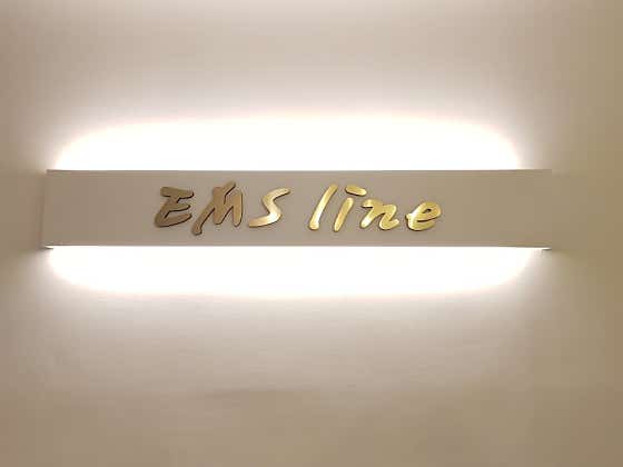 EMS라인