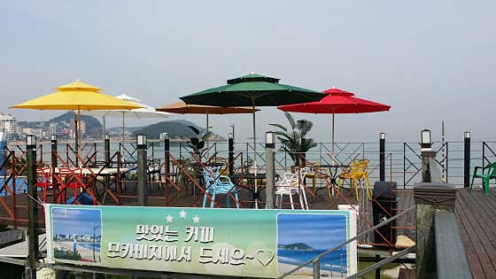 모카비치 · 네이버 지도·플레이스 2